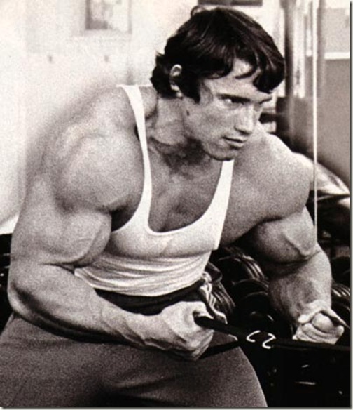 free-muscle-building-workout