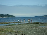 Students on the beach