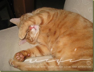 IMG_3327 (Small)