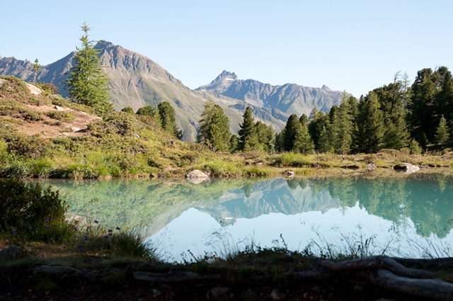 [DSC_43192.jpg]