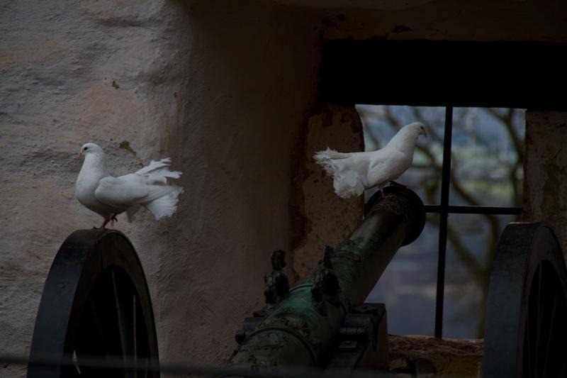 [experiment025.jpg]