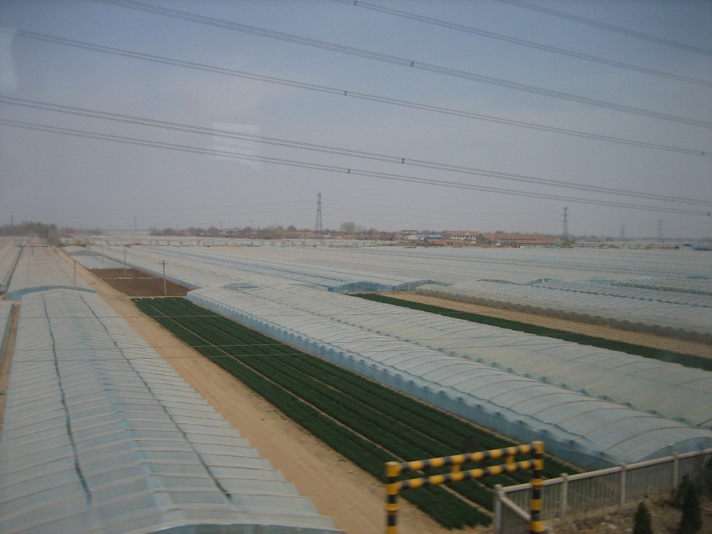 [IMG_3471-1024x7684.jpg]