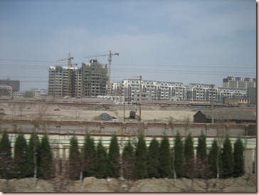 IMG_3475 (1024x768)