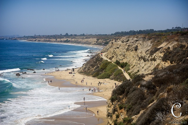 [laguna beach[3].jpg]