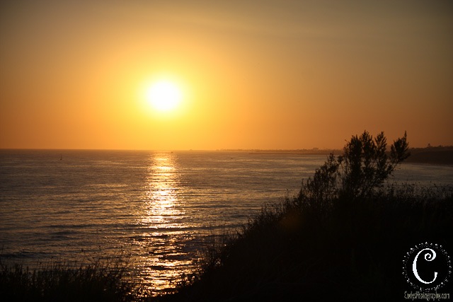 [laguna beach-38[4].jpg]