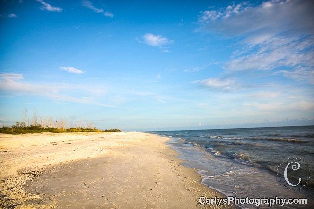 [Sanibelp.313.jpg]