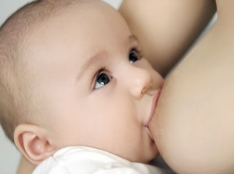 alimento-perfeito-natureza-bebes alimento-perfeito-natureza-bebes