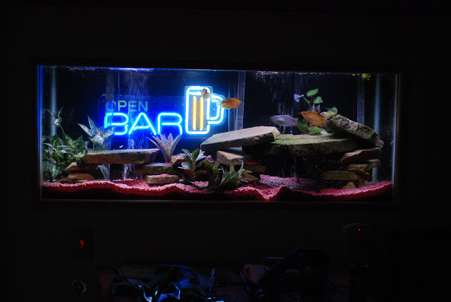 In floor heat and a in floor fish tank.