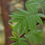 P5230439.JPG