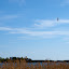 P5250663.JPG