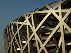 bird's nest
