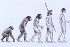 Cilvēka evolūcija