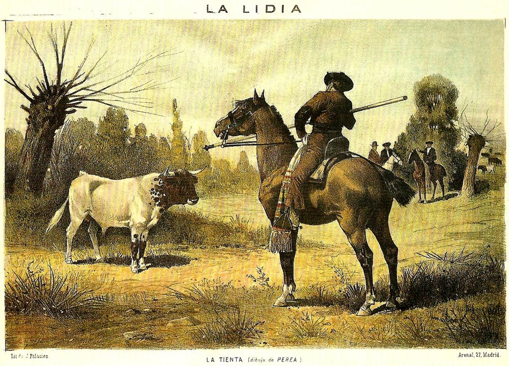 [La Tienta (La lidia 17-08-1885)[6].jpg]