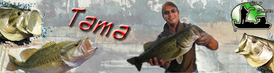 [Immagine: firma_tama_obf.jpg]