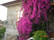 Casa Los Cedros 12112008 dc68.jpg Casa Los Cedros 12112008 dc68.jpg