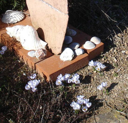 [crocuses2_1_1[3].jpg]