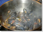 mussels chorizo2_1_1_1