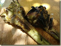 artichokes grilled on bbq_1_1