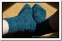 Castanea Socks Castanea Socks