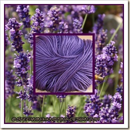lavande violet lavande violet