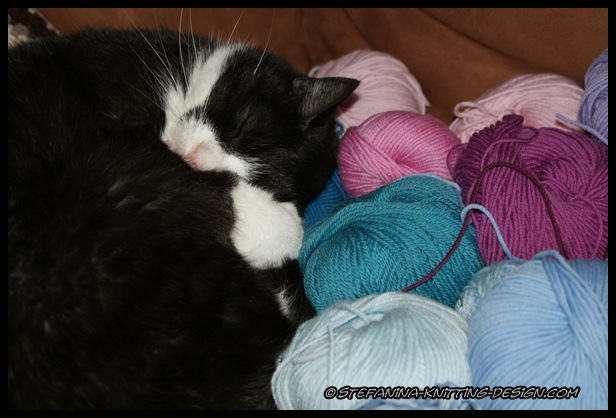 [Crochet a rainbow - the cat yarn's choice[3].jpg]
