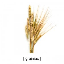 [5cbfiwell_tshirts_graniac[2].jpg]