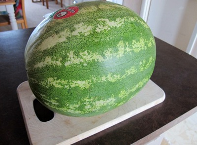 [IMG_6073640x4713.jpg]