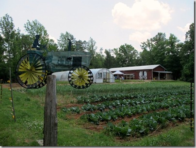 2010-05-08 010 (640x480)