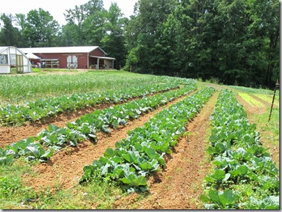 2010-05-08 011 (640x480)