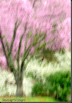 Blog_20100227_3 Blog_20100227_3