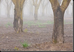 Blog_20100402_1 Blog_20100402_1