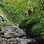 The hiking trail in the Horne Diery Canyon (Mala Fatra National Park, Slovakia)