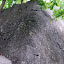 The Nose 5.3