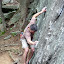 DSCN0683.JPG
