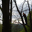 [SK] Geocaching v korunách stromov. ----- [EN] Geocaching in the trees.