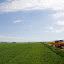 [SK] Roviny Podunajskej nížiny, v pozadí Štiavnické Vrchy. ----- [EN] Fields of the Podunajská Basin, the Štiavnické vrchy Mts. in the background.