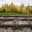 [SK] Kysucká lesná železnička v sedle Demänová. ----- [EN] Kysuce back swath forest railroad in the Demänová saddle.