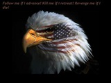 [eagle-eye-american-flag[4].jpg]