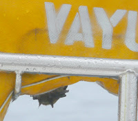 2008 Mackinac / A bat “hanging out” on Vayu's buoy