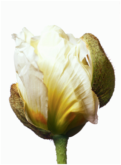[image3[1].png]