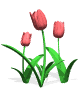 [clip_image0015.gif]