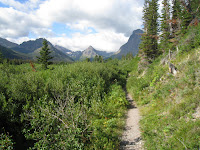 Trail Photo