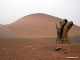 Dunas