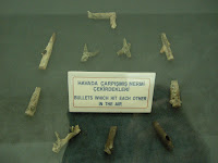 Dentro del apartado Cosas que no he visto en otros museos, esta vitrina nos muestra una coleccion de balas que chocaron entre ellas en el aire. Bien por el que tuvo paciencia para recogerlas.