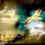 هدوء صاخب