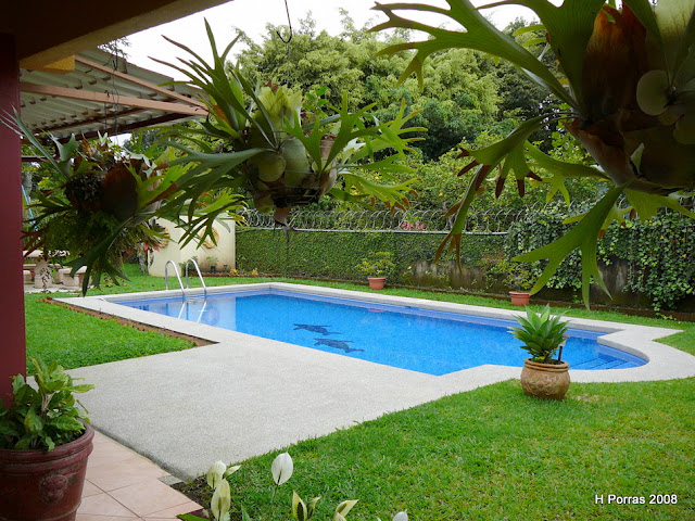 Costa Rica Real Estate