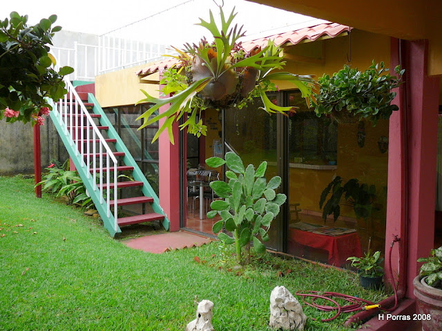 Costa Rica Real Estate