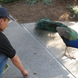IMG_0927.JPG