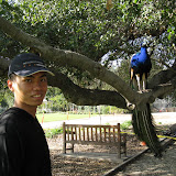 IMG_0935.JPG