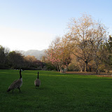 IMG_1058.JPG